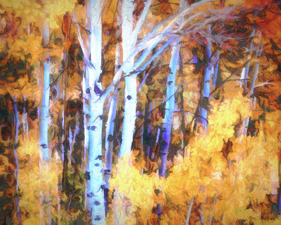 Autumn Colors In An Aspen Forest Mixed Media by Ann Powell