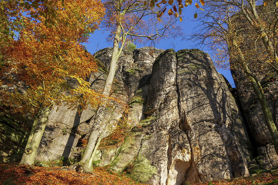 Autumn colors in Saxon Switzerland Photograph by Sun Travels