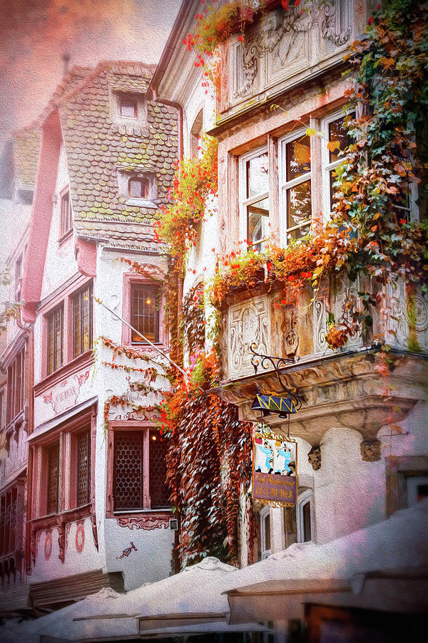 Autumn Colors in Strasbourg France Photograph by Carol Japp