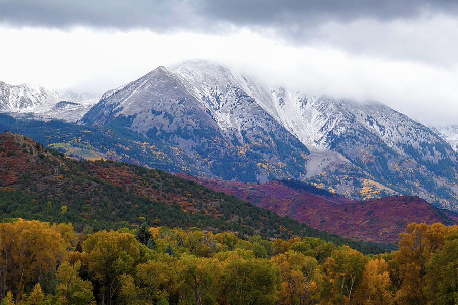 Autumn Colors In The Elk Mountains Photograph by Dan Sproul