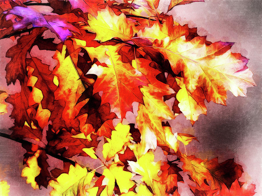 Autumn Colors In The Oak Tree Digital Art by Leslie Montgomery