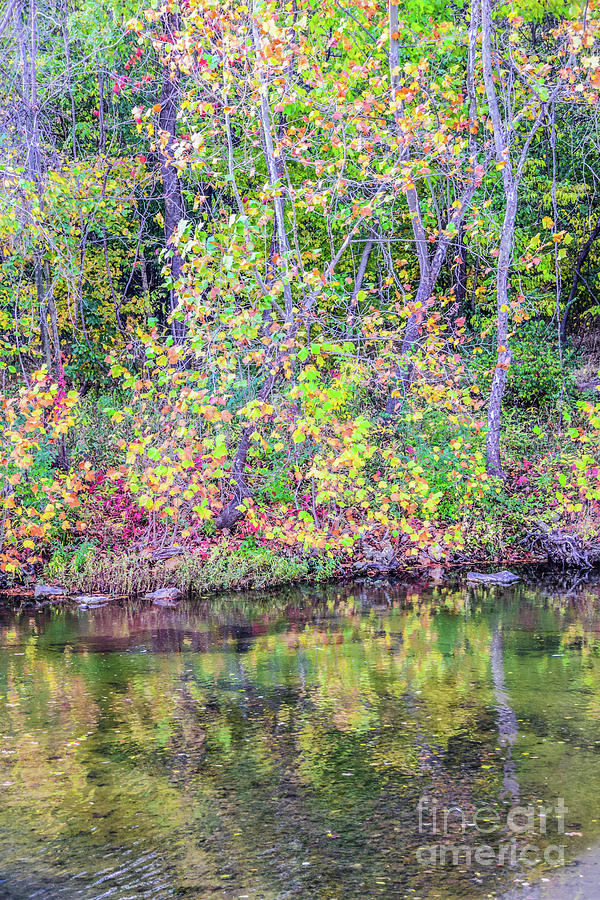 Autumn Colors Looks Like a Monet Photograph by Peggy Franz