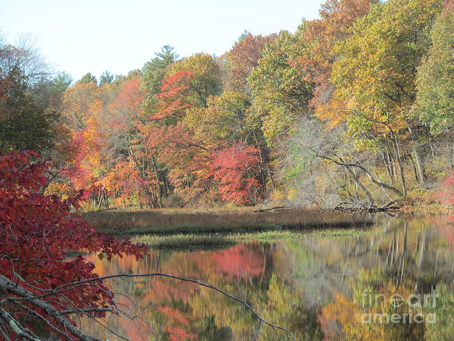 Autumn Colors Photograph by Loretta Pokorny