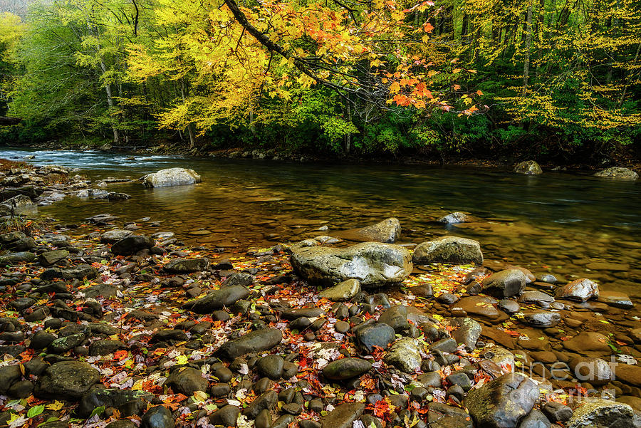 Autumn Colors on Cranberry River Photograph by Thomas R Fletcher