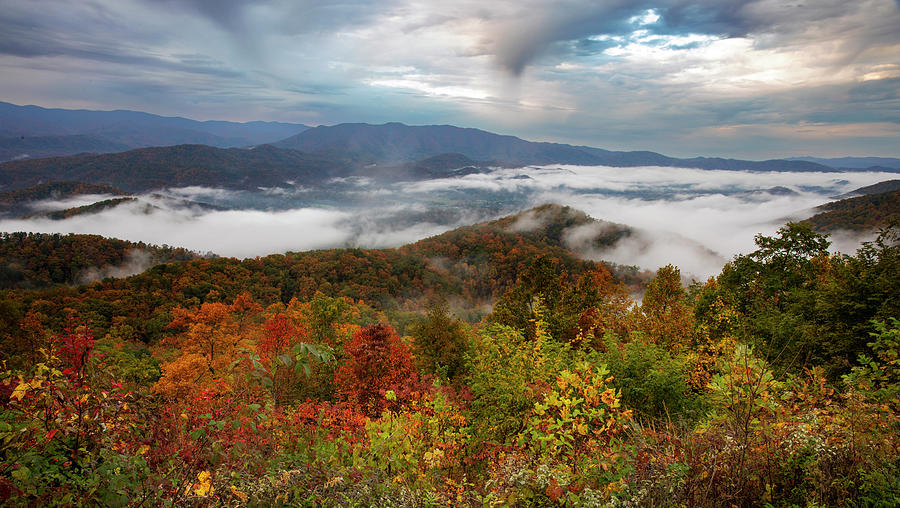 Autumn Colors On Foggy Blue Ridge Landscape Photograph by Dan Sproul