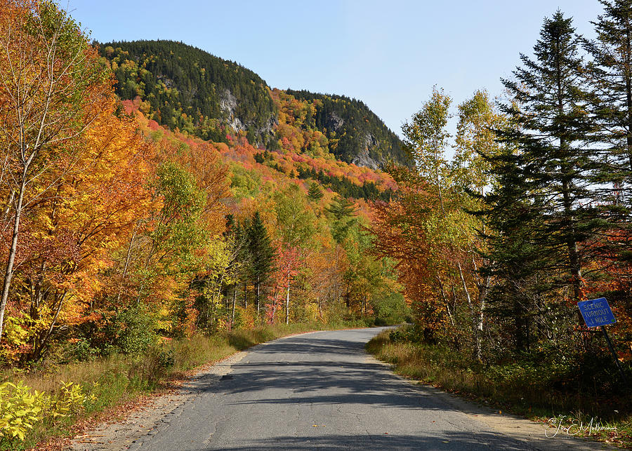 Autumn Colors On South Arm Road Photograph