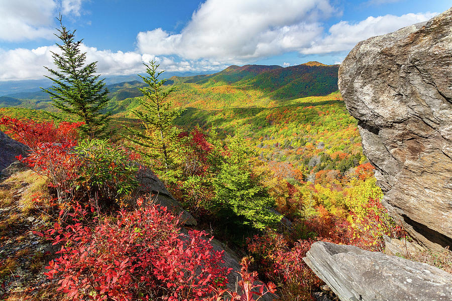 Autumn Colors on the Blue Ridge Parkway Photograph by Dan Carmichael