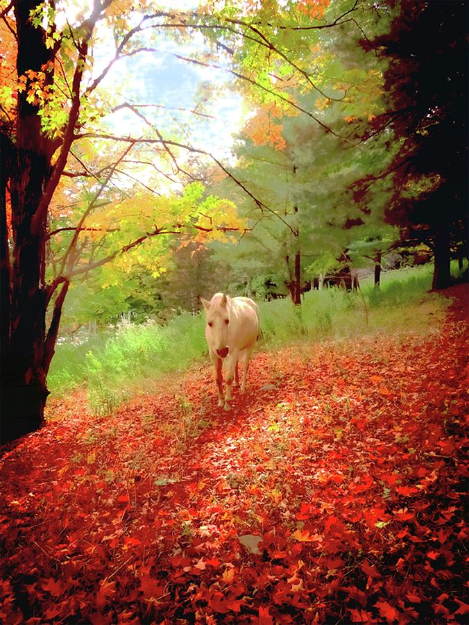 Mug Photograph - Autumn Colors On The Paso Fino Horse Farm by Patricia Keller