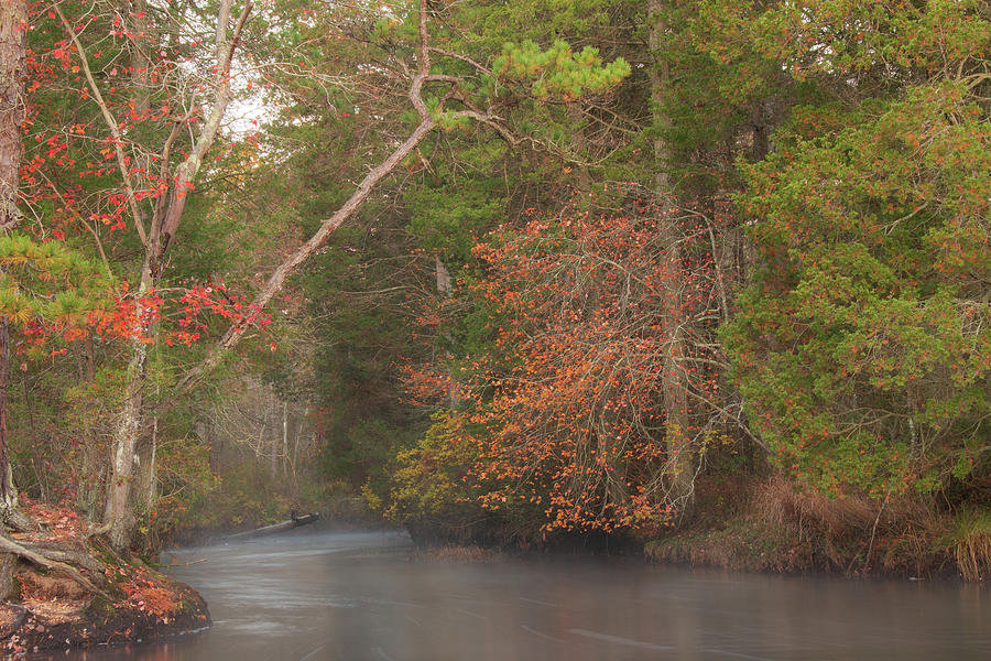 Autumn Colors on the Wading River Photograph by Kristia Adams