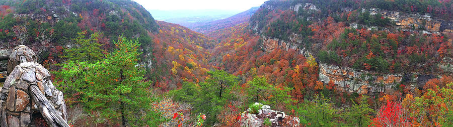 Autumn Colors Panorama Photograph by George Taylor