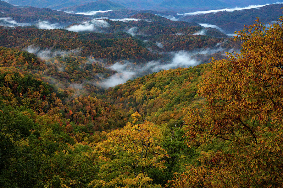 Autumn Colors Rising Fog In The Smokies Photograph by Dan Sproul