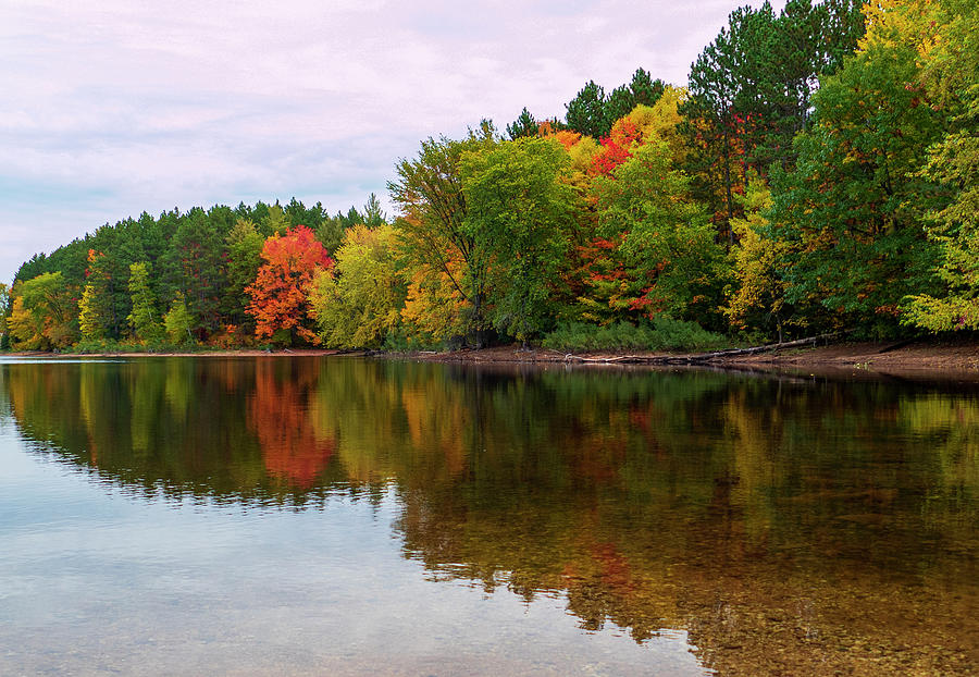 Autumn Colors  Photograph by Sandra Js