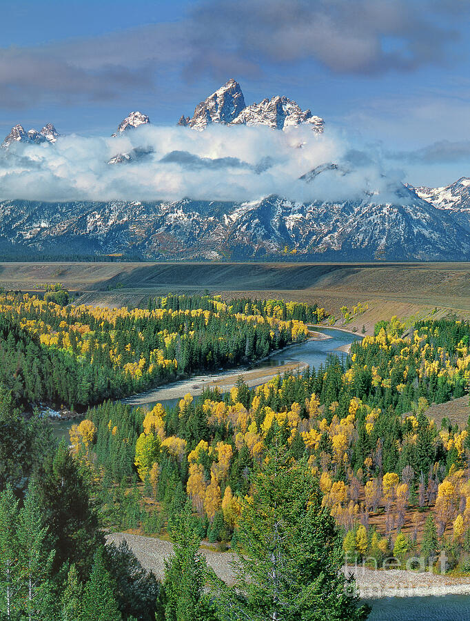 Autumn Colors Snake River Overlook Grand Tetons National Park Wyoming Photograph by Dave Welling