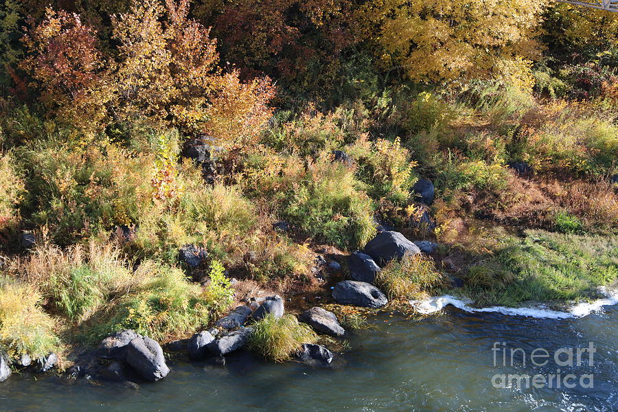 Autumn Colors with Rocks by River Photograph by Carol Groenen