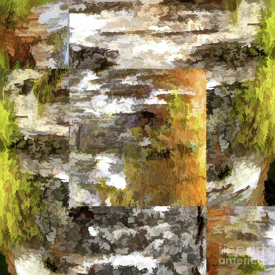 Autumn colour found 5 Digital Art by David Hargreaves