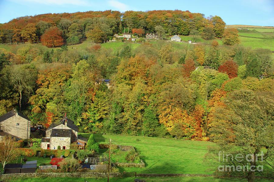 Autumn colour in Calderdale, Yorkshire. Photograph by David Birchall