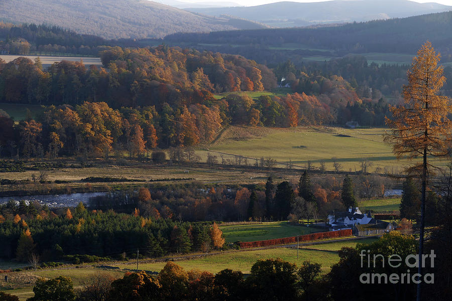 Autumn colours at Ballindalloch Photograph by Phil Banks