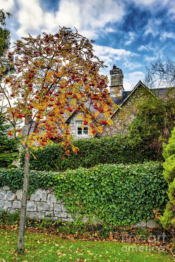 Architecture Photograph - Autumn Colours Bodelwyddan by Adrian Evans
