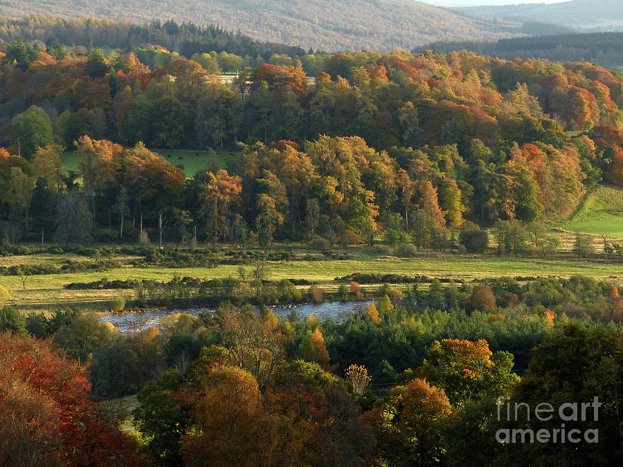 Autumn colours by the Spey at Ballindalloch Photograph by Phil Banks