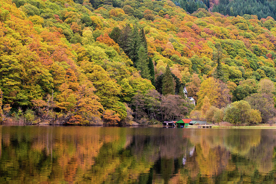 Autumn colours  Photograph by Daniel Letford