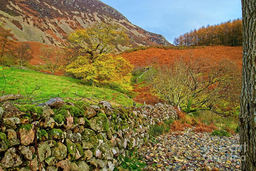 Autumn Colours in the Lake District, Photograph by Martyn Arnold