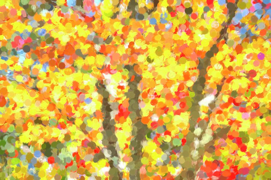 Autumn Colours Sleepy Hollow Art Photograph