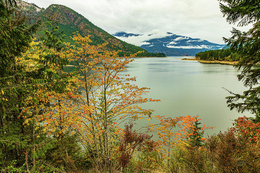 Autumn Comes To Buttle Lake Photograph by Claude Dalley