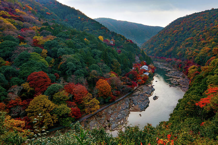 Autumn Comes to Kyoto Photograph by David Carillet - Fine Art America