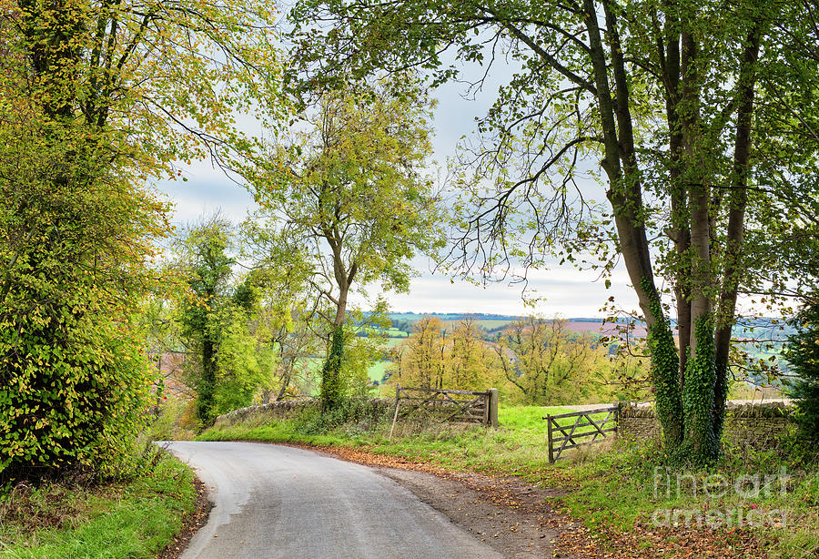 Autumn Country Lane Cotswolds Photograph by Tim Gainey