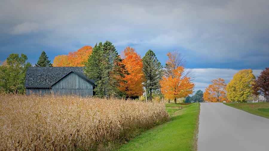 Autumn Country Road Photograph by Patti Raine