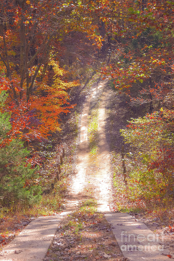 Autumn Country Road Photograph by Peggy Franz