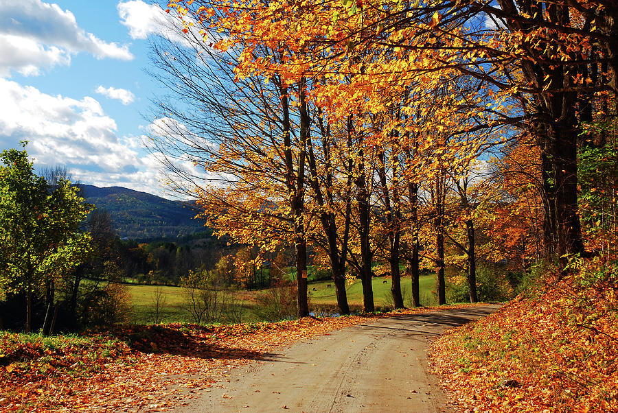 Mountain Photograph - Autumn Country Roads by James Kirkikis