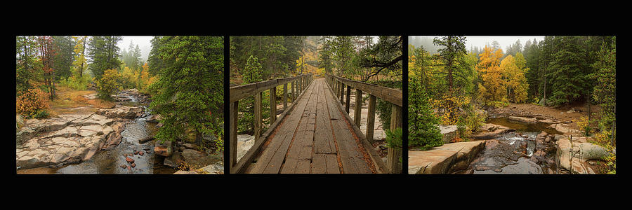 Autumn Creek Collage Photograph by James BO Insogna