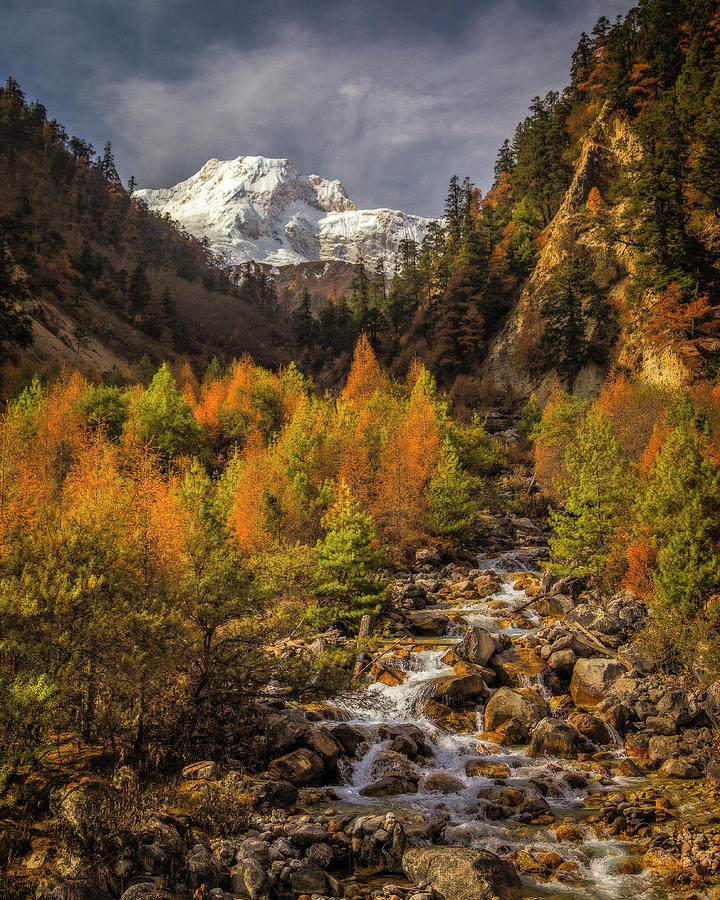 Autumn Creek, Nepal Photograph by Lawrence Pallant