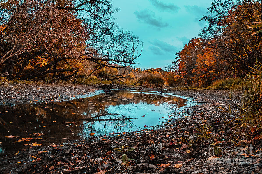 Autumn Creek Photograph Photograph by Stephen Geisel