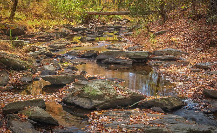Autumn Creek Scene Photograph by Bill Chambers