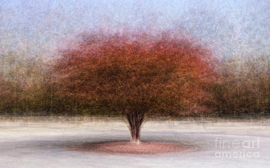 Autumn Crepe Myrtle Tree - Composite Photograph