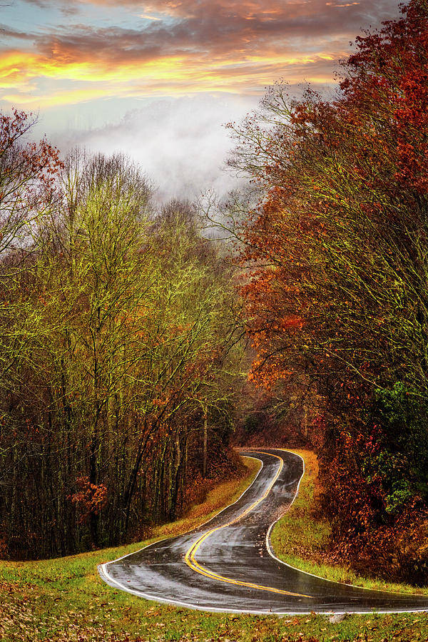 Autumn Curves in the Rain Photograph by Debra and Dave Vanderlaan