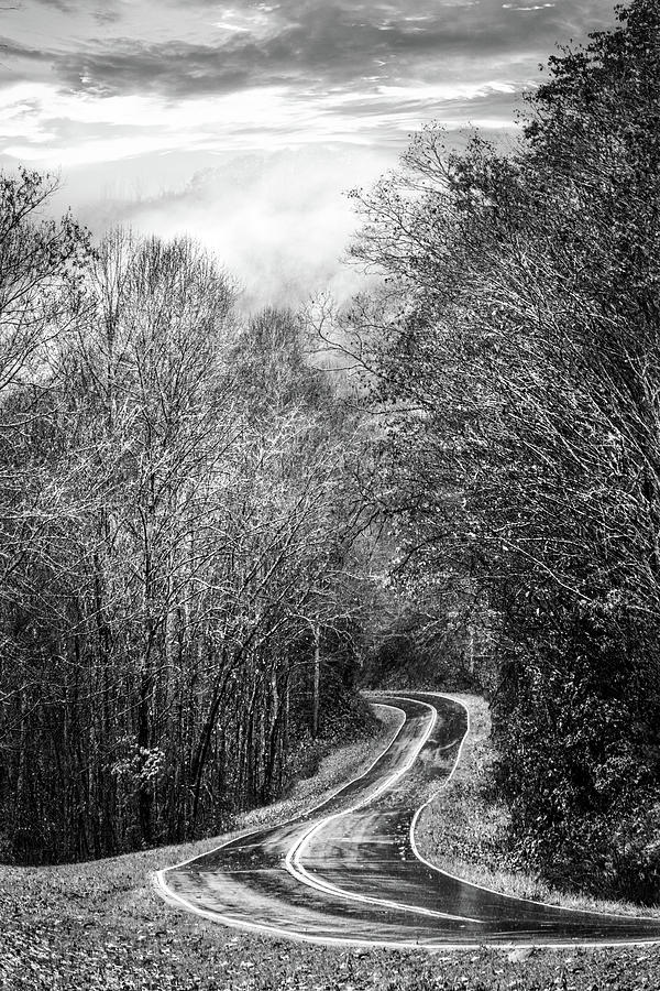 Autumn Curves in the Rain in Black and White Photograph by Debra and Dave Vanderlaan