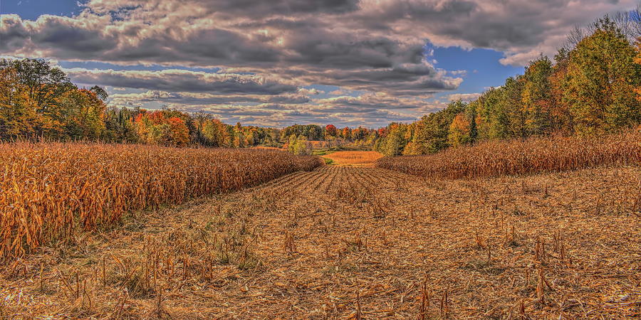 Autumn Cut Corn Field Pano 2-1 Photograph by Dale Kauzlaric
