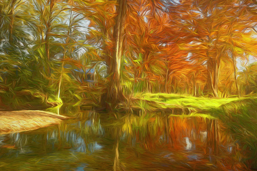 Autumn Cypress Trees Painting Photograph by Judy Vincent