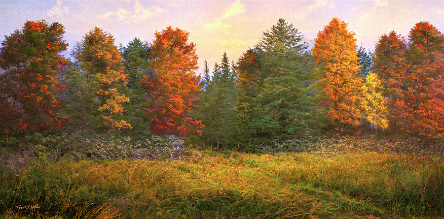 Autumn D Digital Art by Frank Wilson