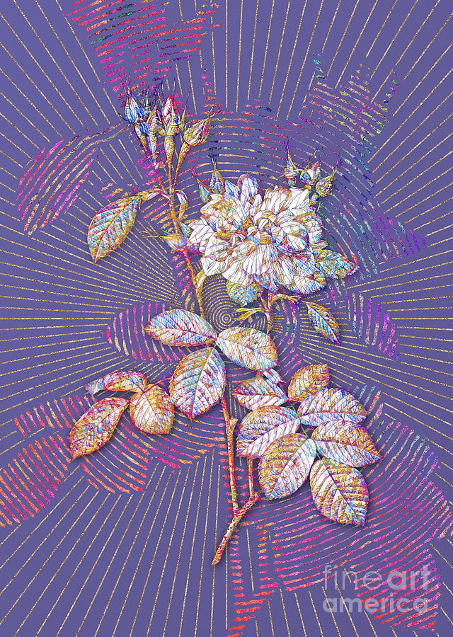 Autumn Damask Rose Mosaic Botanical Art on Veri Peri n.0046 Mixed Media by Holy Rock Design