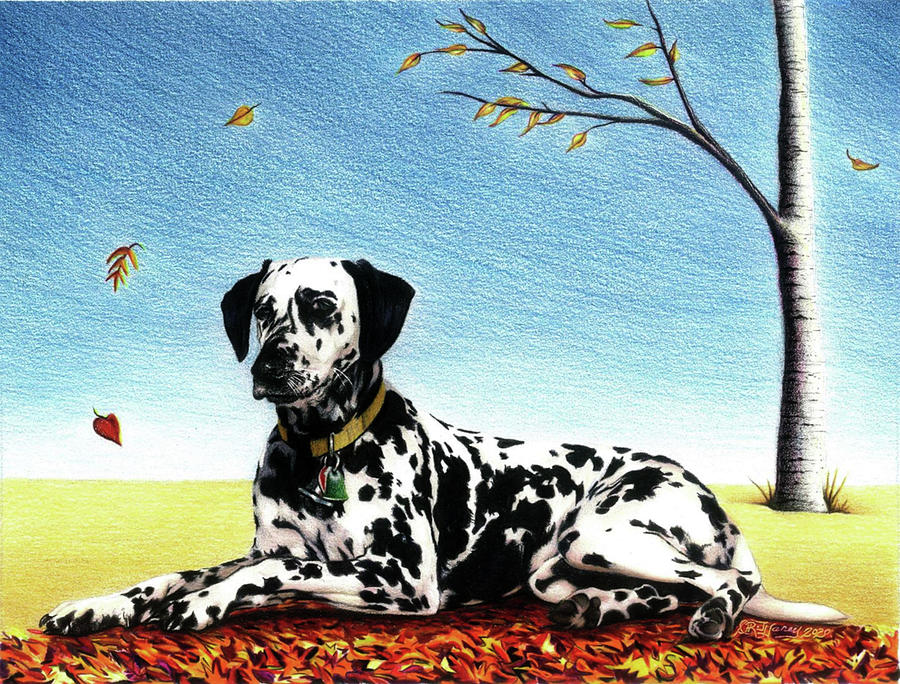 Autumn Drawing by Danielle R T Haney