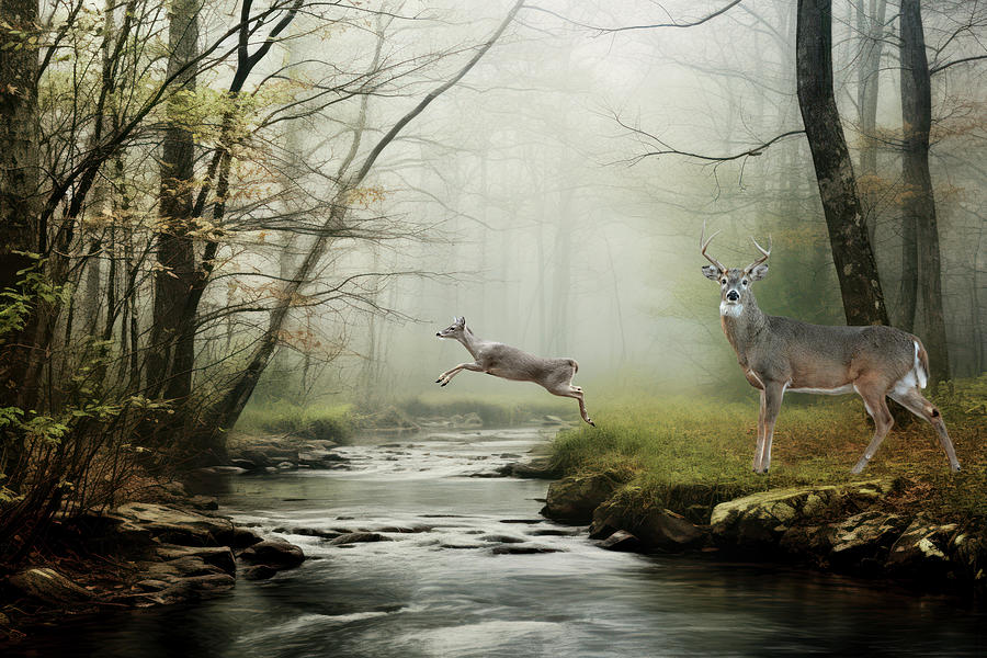 Autumn deer crossing Digital Art by Jerry Dalrymple