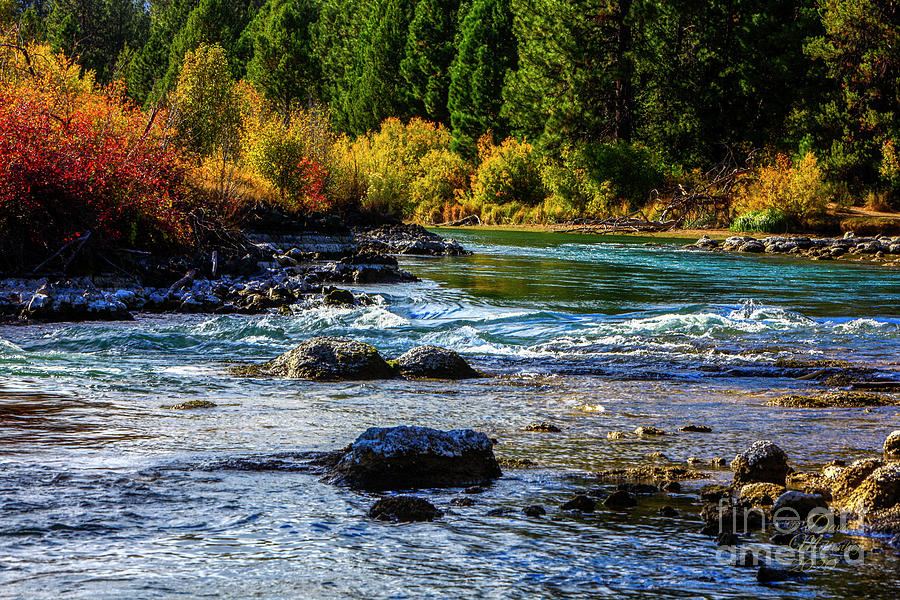 Autumn Deschutes River, David Millenheft, Photograph by David Millenheft