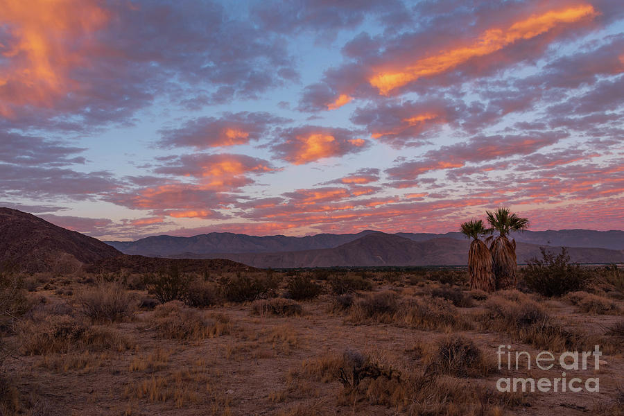 Autumn Desert Sunset Photograph by Jeff Hubbard
