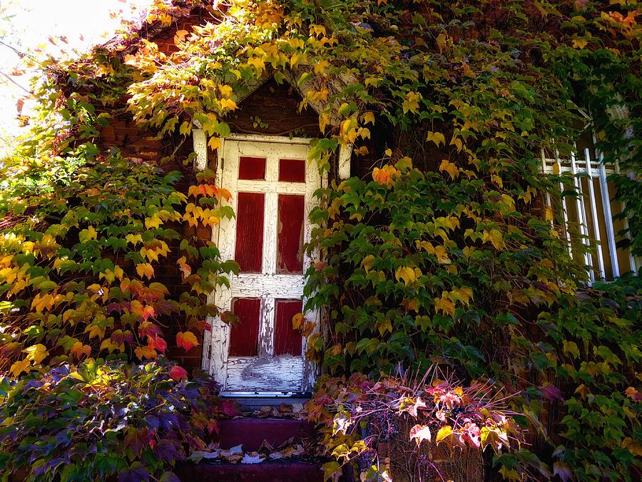 Autumn Doorway Photograph by Steph Gabler