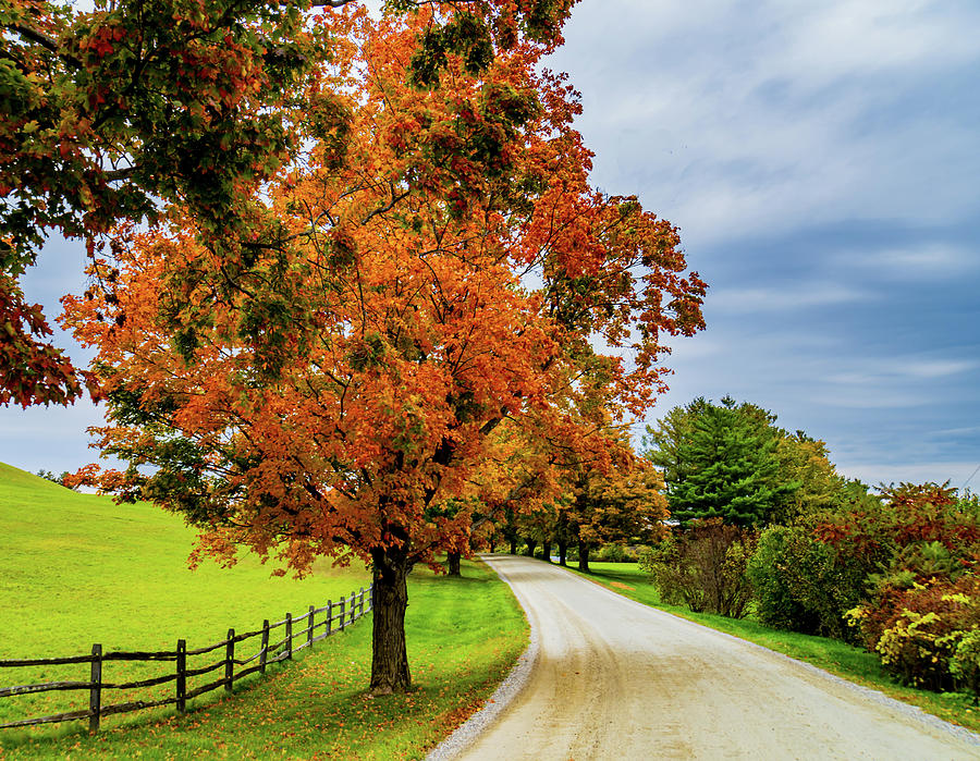 Autumn Down A Rural Road  Photograph by Ann Moore