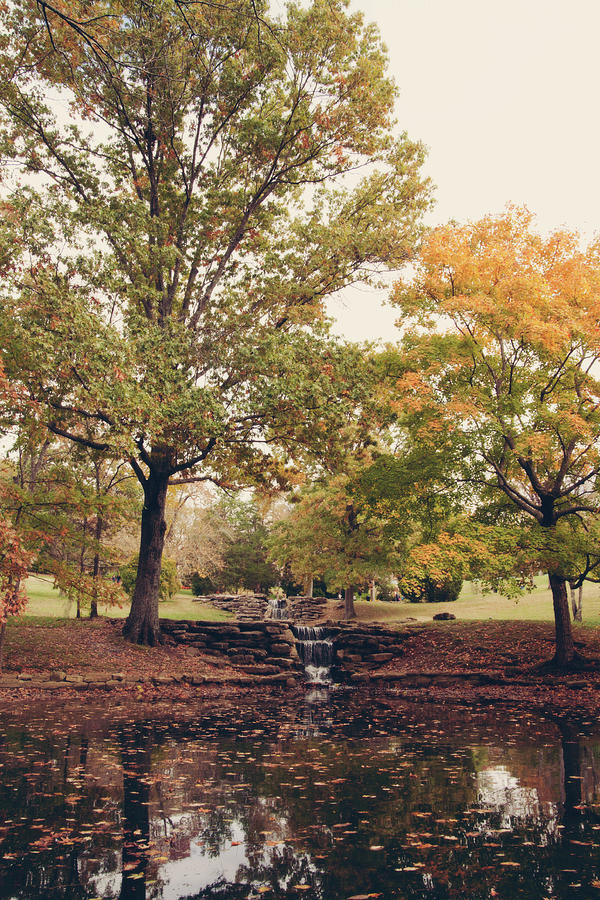 Autumn Dreamland Photograph by Stephanie Moon - Fine Art America